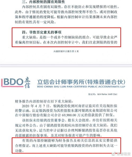 银鸽投资 审计报告悬而未决，监管部门该主动出击了
