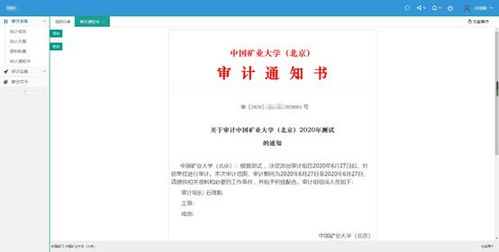 高校内部审计信息化建设与产品供应商选择——基于内审实务的审计报告框架分析
