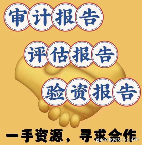 专业出具审计报告#审计报告# #企业年审#