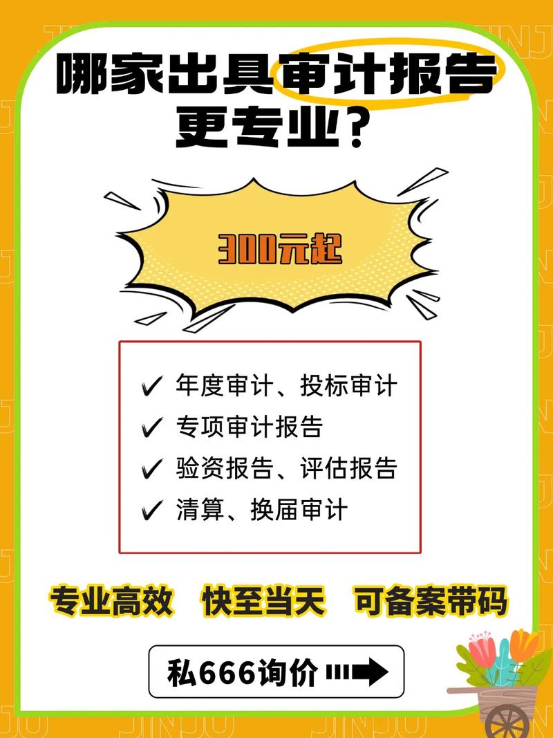 哪家出具审计报告更专业？深度解析选择审计机构的核心标准